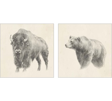 Western Bear Study 2 Piece Art Print Set by Ethan Harper