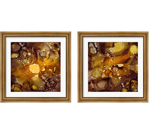 Chestnut Illumination 2 Piece Framed Art Print Set by Regina Moore