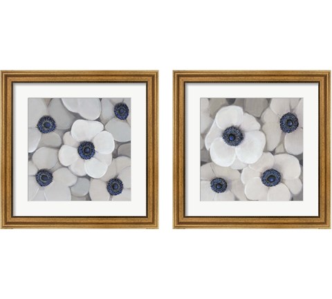 White Anemone 2 Piece Framed Art Print Set by Timothy O'Toole