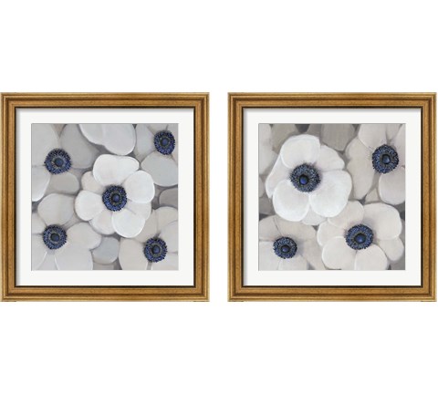 White Anemone 2 Piece Framed Art Print Set by Timothy O'Toole