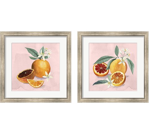 Orange Blossom  2 Piece Framed Art Print Set by Grace Popp