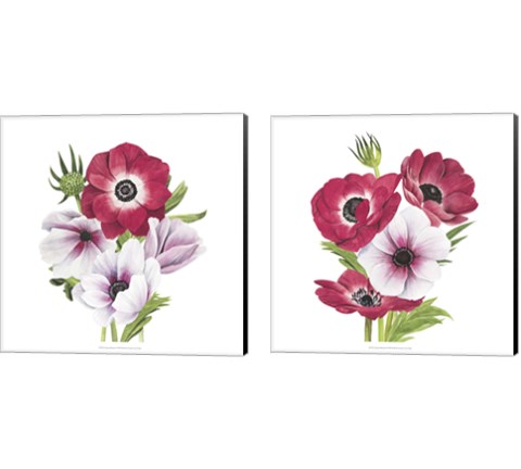 Anemone Blooms 2 Piece Canvas Print Set by Grace Popp