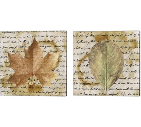 Earth Leaf  2 Piece Canvas Print Set by Alonzo Saunders