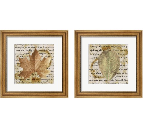 Earth Leaf  2 Piece Framed Art Print Set by Alonzo Saunders
