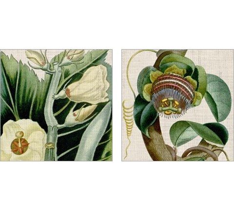 Cropped Turpin Tropicals 2 Piece Art Print Set by Vision Studio