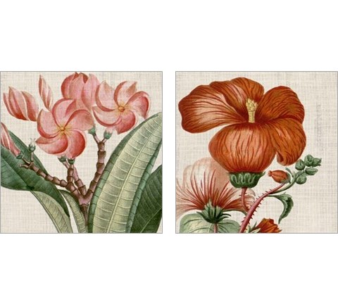 Cropped Turpin Tropicals 2 Piece Art Print Set by Vision Studio