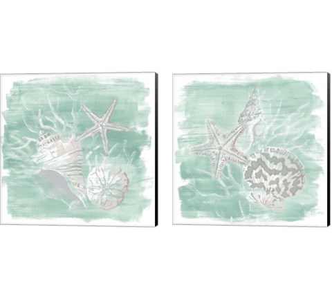 Weathered Shell Assortment 2 Piece Canvas Print Set by June Erica Vess