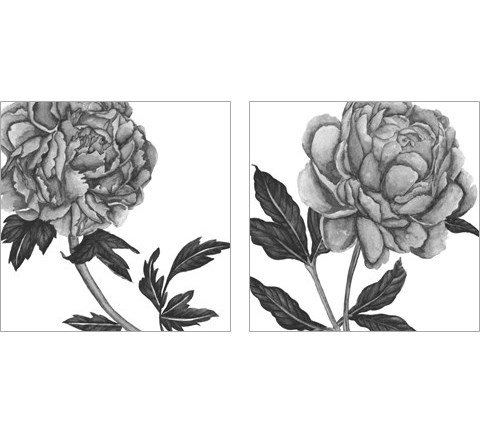 Flowers in Grey 2 Piece Art Print Set by Melissa Wang