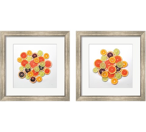 Sunny Citrus 2 Piece Framed Art Print Set by Felicity Bradley