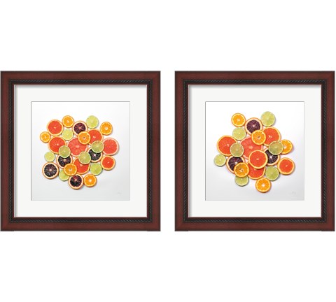 Sunny Citrus 2 Piece Framed Art Print Set by Felicity Bradley