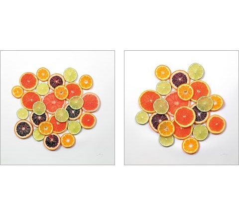 Sunny Citrus 2 Piece Art Print Set by Felicity Bradley