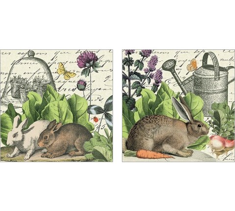 Garden Rabbit 2 Piece Art Print Set by Wild Apple Portfolio