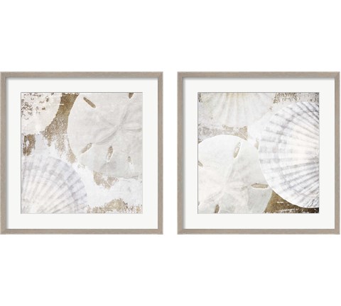 White Shells 2 Piece Framed Art Print Set by Irena Orlov