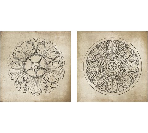 Rosette Neutral 2 Piece Art Print Set by Wild Apple Portfolio