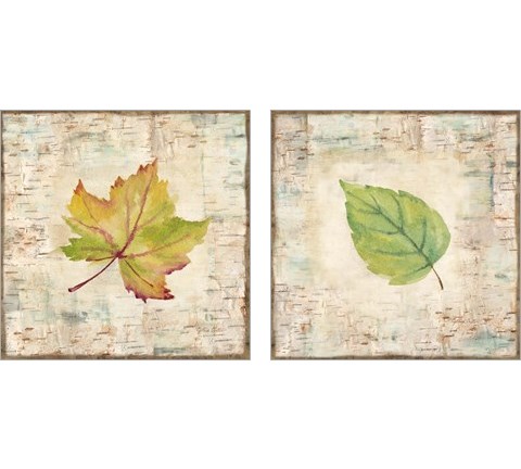 Nature Walk Leaves 2 Piece Art Print Set by Cynthia Coulter