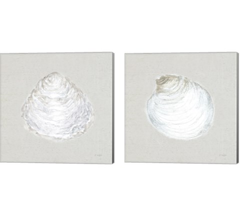 Serene Shells  Tan 2 Piece Canvas Print Set by James Wiens