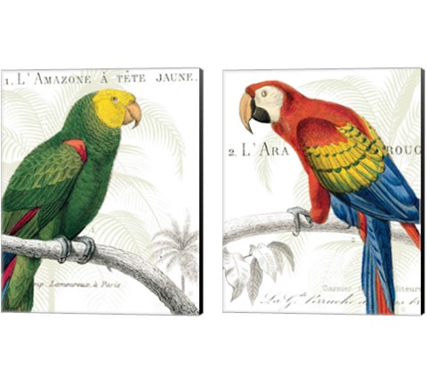 Parrot Botanique 2 Piece Canvas Print Set by Wild Apple Portfolio