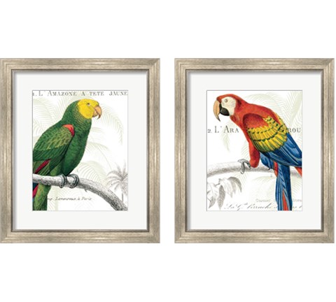 Parrot Botanique 2 Piece Framed Art Print Set by Wild Apple Portfolio