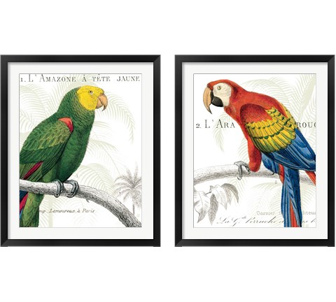 Parrot Botanique 2 Piece Framed Art Print Set by Wild Apple Portfolio