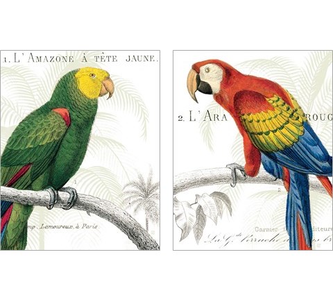 Parrot Botanique 2 Piece Art Print Set by Wild Apple Portfolio