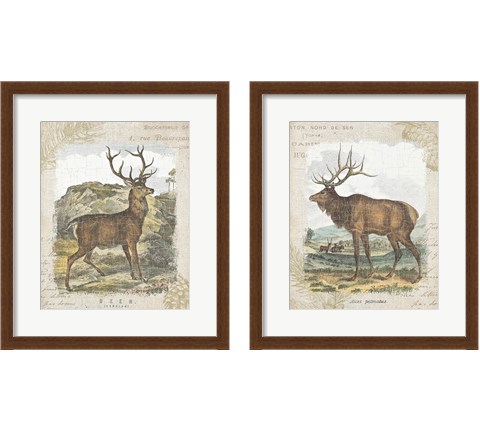 Woodland Stag 2 Piece Framed Art Print Set by Wild Apple Portfolio