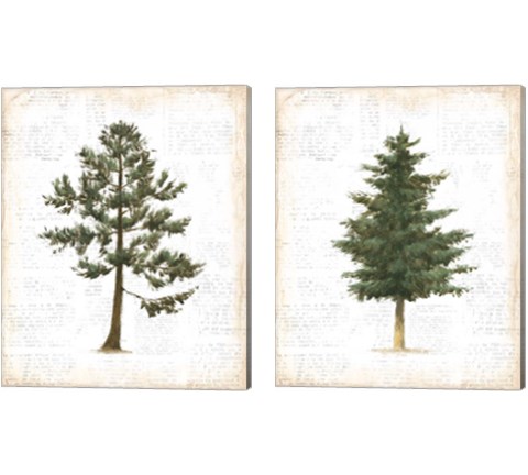 Into the Woods 2 Piece Canvas Print Set by Emily Adams