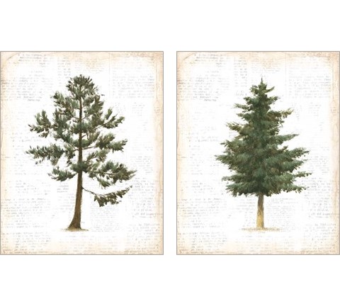 Into the Woods 2 Piece Art Print Set by Emily Adams