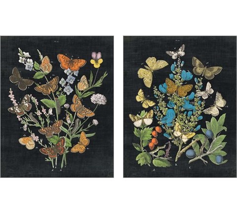 Butterfly Bouquet on Black 2 Piece Art Print Set by Wild Apple Portfolio
