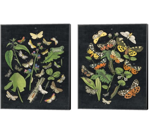 Butterfly Bouquet on Black 2 Piece Canvas Print Set by Wild Apple Portfolio
