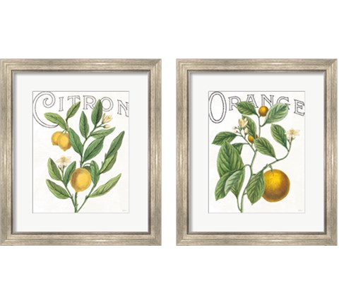 Classic Citrus 2 Piece Framed Art Print Set by Sue Schlabach