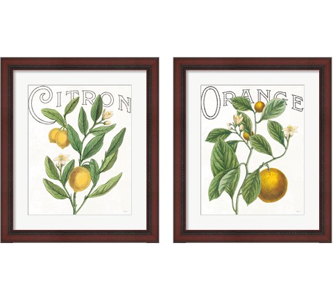 Classic Citrus 2 Piece Framed Art Print Set by Sue Schlabach