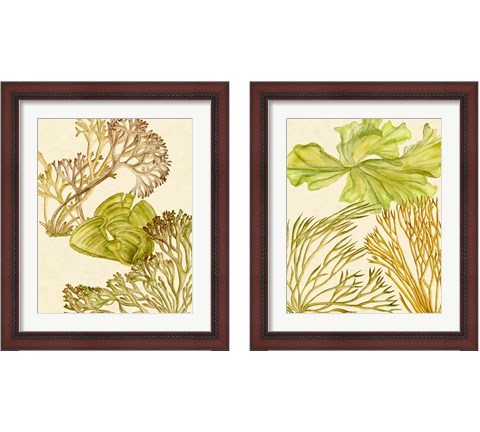 Vintage Seaweed Collection 2 Piece Framed Art Print Set by Melissa Wang
