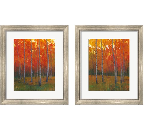 Changing Colors 2 Piece Framed Art Print Set by Timothy O'Toole
