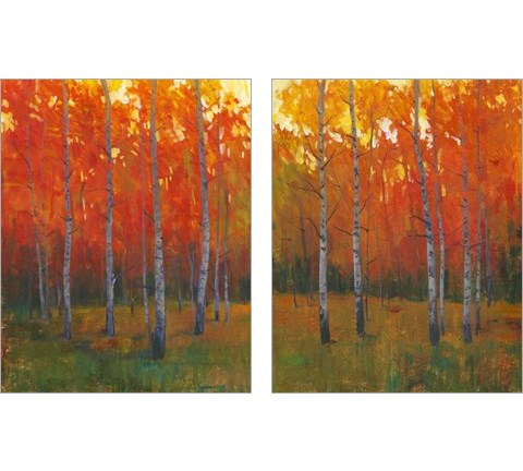 Changing Colors 2 Piece Art Print Set by Timothy O'Toole