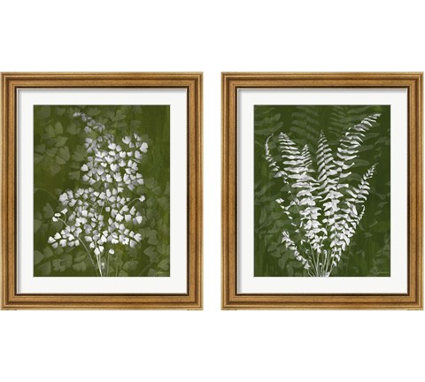 Jewel Ferns 2 Piece Framed Art Print Set by James Burghardt