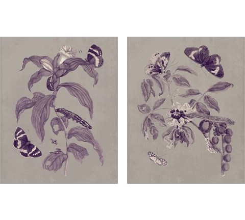 Nature Study in Plum & Taupe 2 Piece Art Print Set by Maria Sibylla Merian
