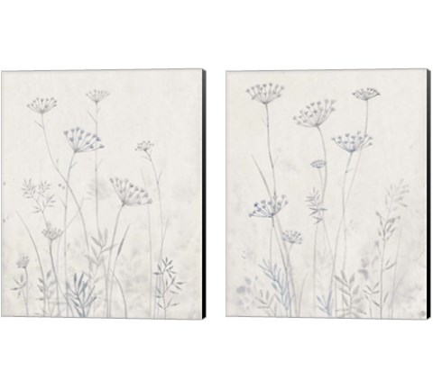Neutral Queen Anne's Lace 2 Piece Canvas Print Set by Timothy O'Toole