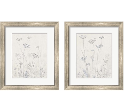 Neutral Queen Anne's Lace 2 Piece Framed Art Print Set by Timothy O'Toole