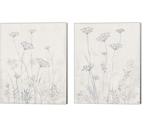 Neutral Queen Anne's Lace 2 Piece Canvas Print Set by Timothy O'Toole