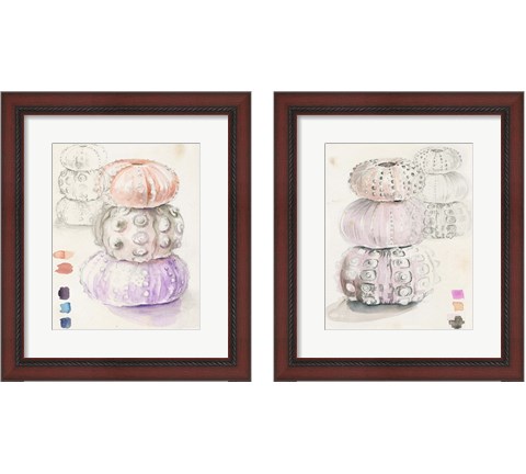 Sea Urchin Sketches 2 Piece Framed Art Print Set by Jennifer Parker