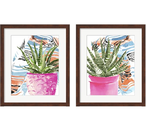 Zebra Succulent 2 Piece Framed Art Print Set by Jennifer Parker