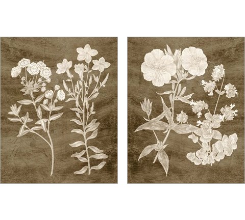 Botanical in Taupe 2 Piece Art Print Set by Vision Studio