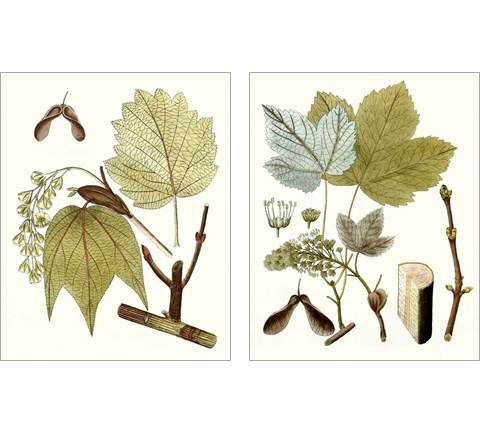 Maple Leaves 2 Piece Art Print Set
