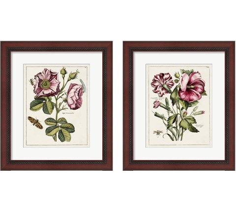 Pink Florals 2 Piece Framed Art Print Set