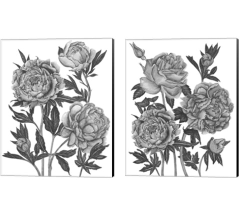 Flowers in Grey 2 Piece Canvas Print Set by Melissa Wang