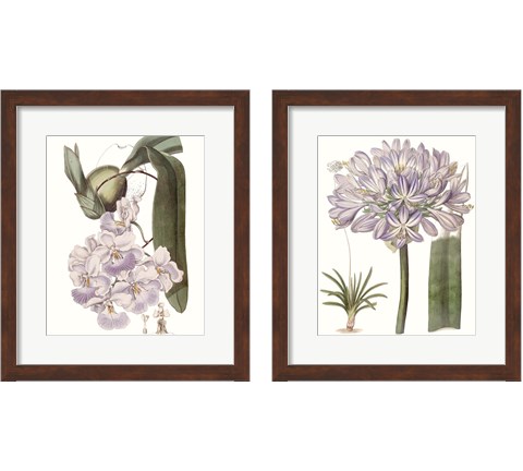 Lavender Beauties 2 Piece Framed Art Print Set by Edwards