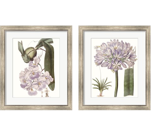 Lavender Beauties 2 Piece Framed Art Print Set by Edwards
