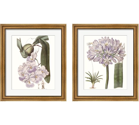 Lavender Beauties 2 Piece Framed Art Print Set by Edwards