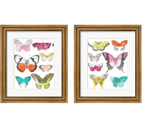Chromatic Butterflies 2 Piece Framed Art Print Set by June Erica Vess