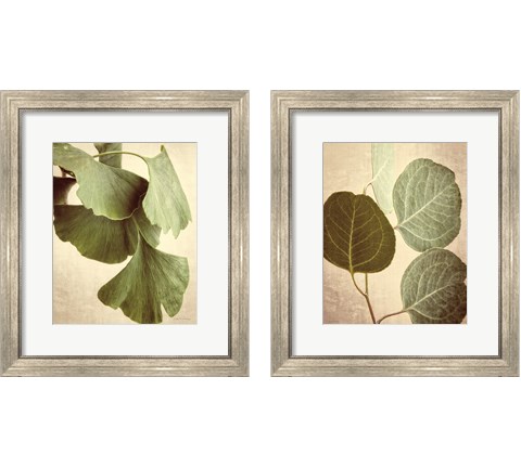 Eucalyptus Color 2 Piece Framed Art Print Set by Debra Van Swearingen